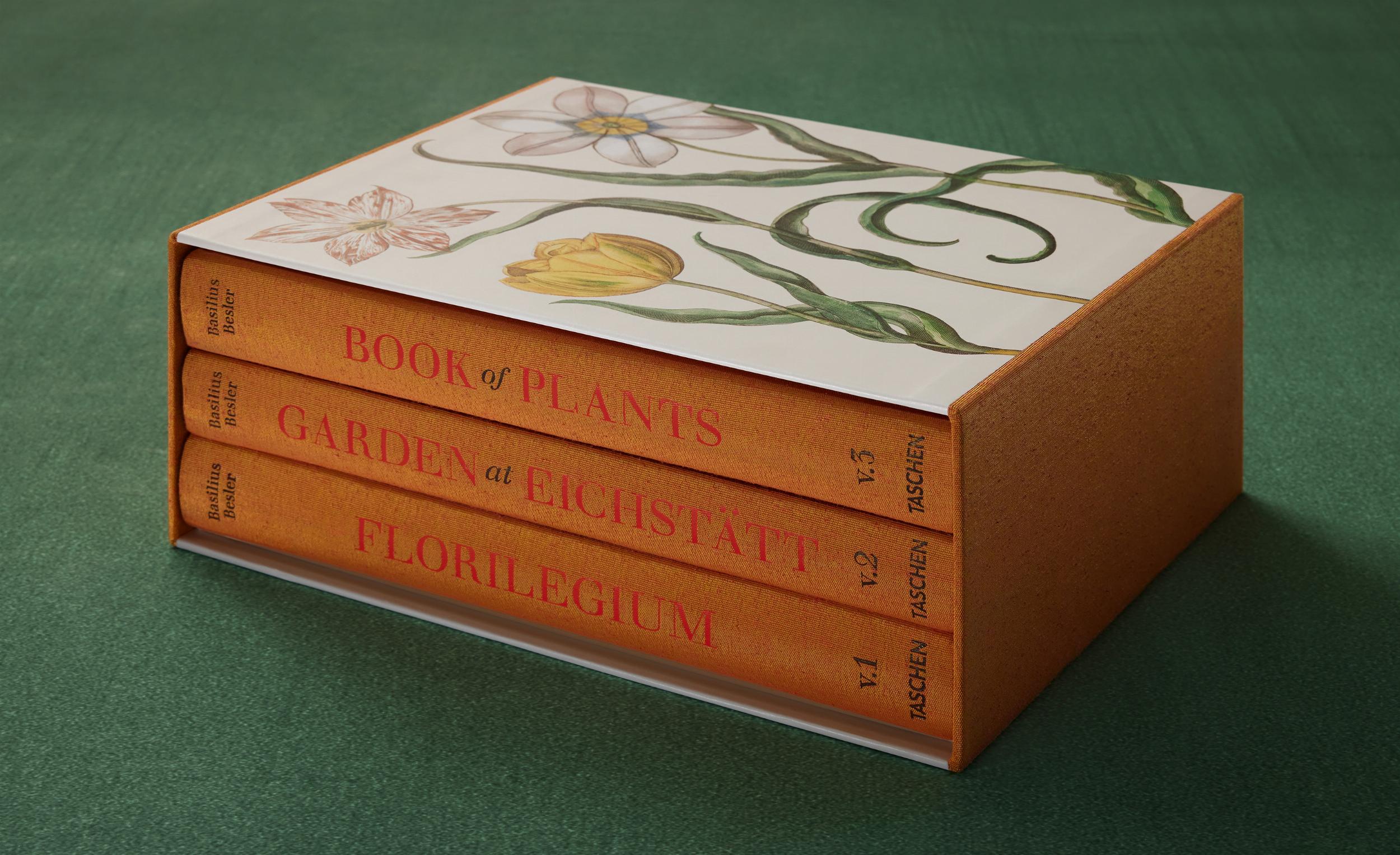 Basilius Besler. The Garden at Eichstätt – Plastic Books