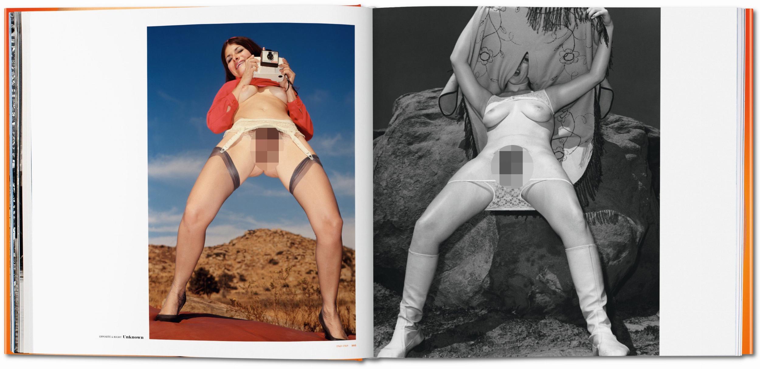 The Big Book of Pussy – Plastic Books